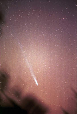 Kometa Ikeya-Zhang (12)