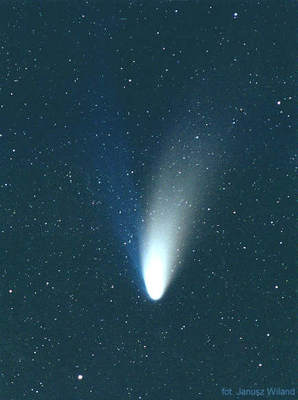 Kometa Hale'a-Boppa w puszczy Kampinoskiej