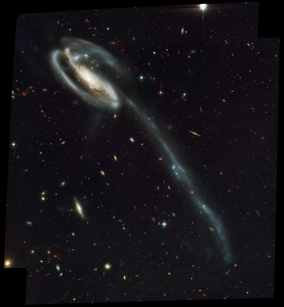 Galaktyka UGC 10214 Tadpole (Kijanka)