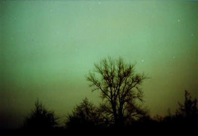 Zorza polarna z 20 listopada 2003 (X)
