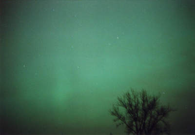 Zorza polarna z 20 listopada 2003 (XI)