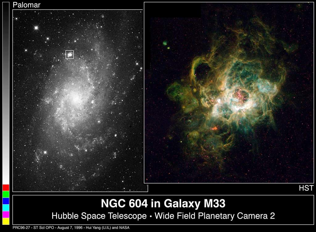 NGC 604 w galaktyce M33