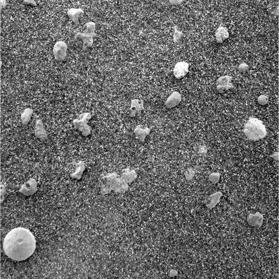Mikroskopowy obraz gleby na Marsie