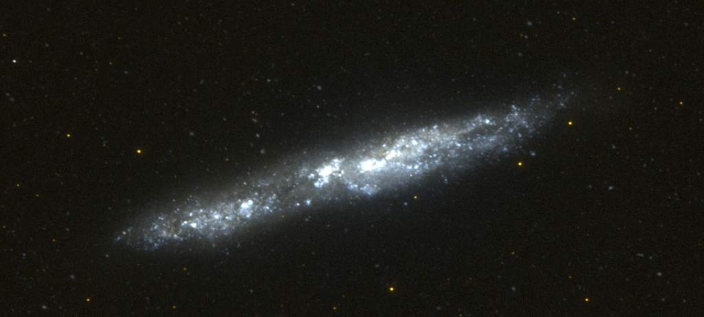 NGC 55, galaktyka Grupy Lokalnej