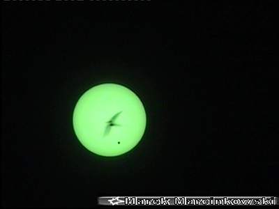 Ptak na tle Słońca podczas przejścia Wenus