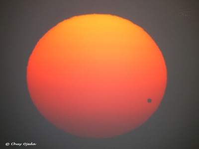 Wenus na tle spłaszczonego Słońca