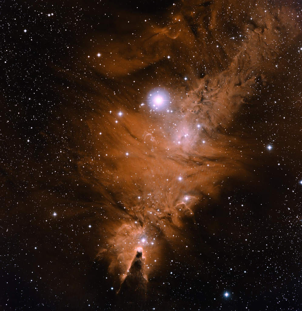 NGC 2264 