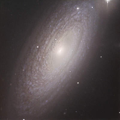NGC 2841 na zdjęciu uczniów