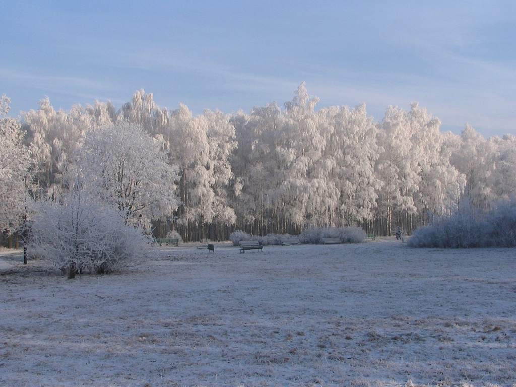 Zima 2007/2008 na Widzewie