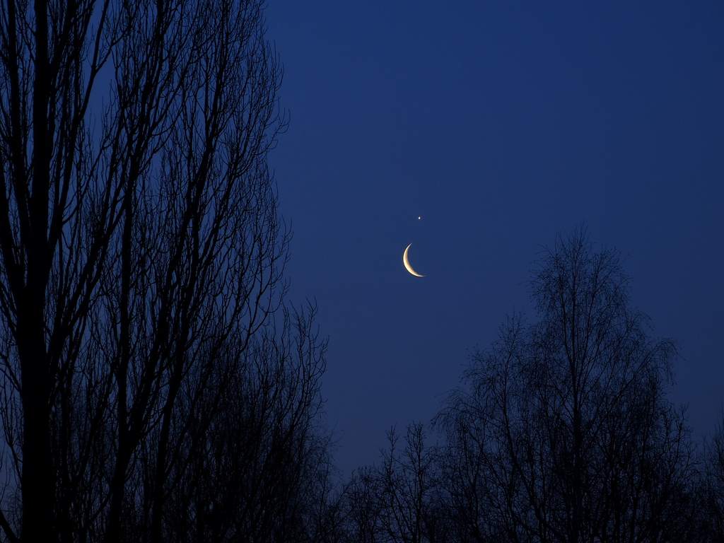 26 lutego 2014, złączenie Księżyca z Wenus (III)