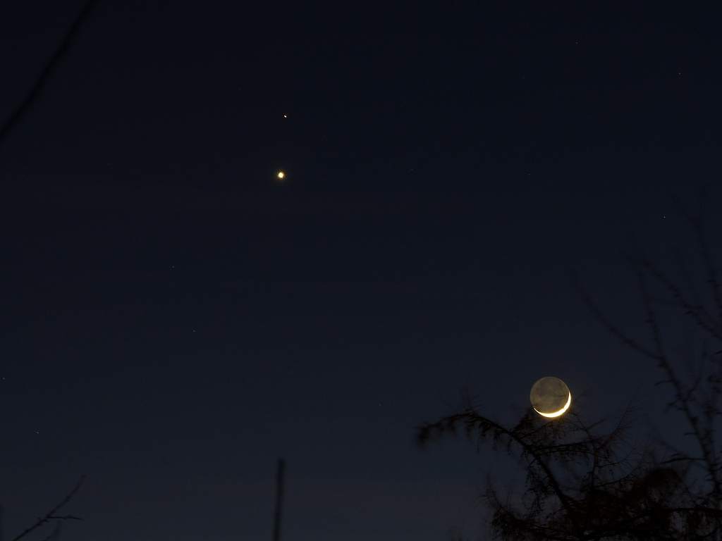 Księżyc na drzewie, Wenus, Mars, 20 lutego 2015
