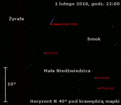 Położenie komety C/2013 US10 (Catalina) w pierwszym tygodniu lutego 2016 r.