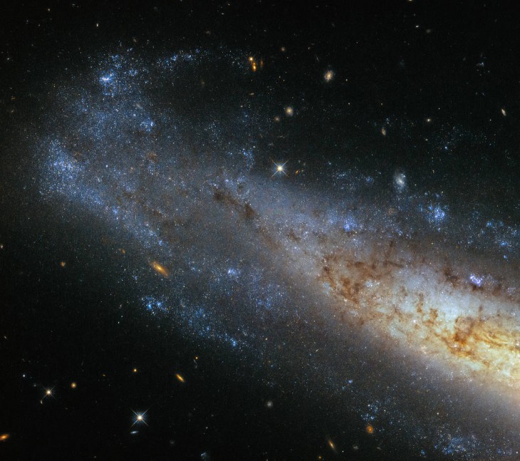Galaktyka NGC1448 uchwycona przez Kosmiczny teleskop Hubble`a
