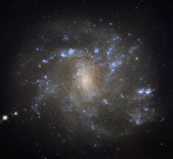Galaktyka NGC 2500