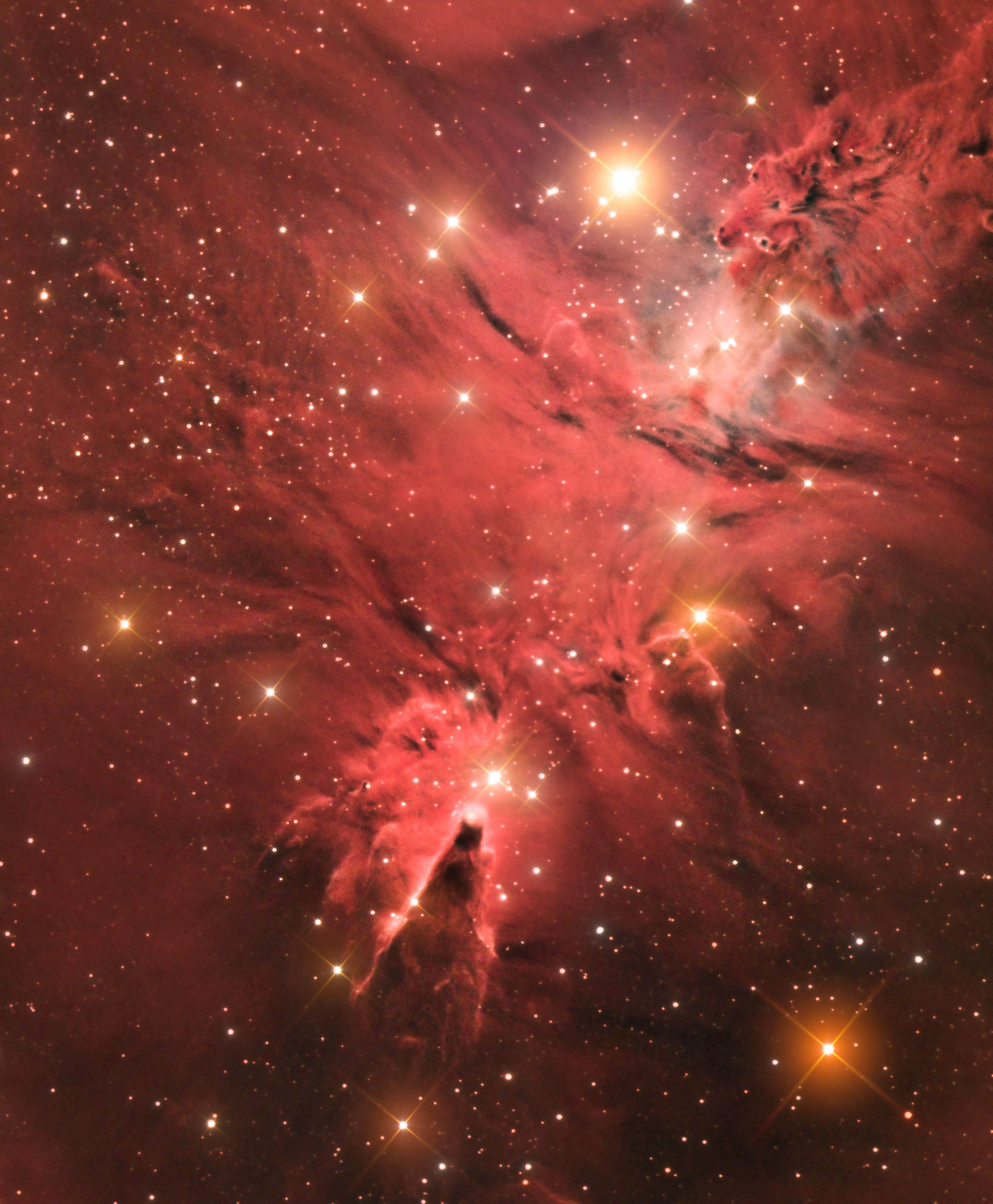 Mgławica Stożek (NGC 2264) – „Best newcomer”