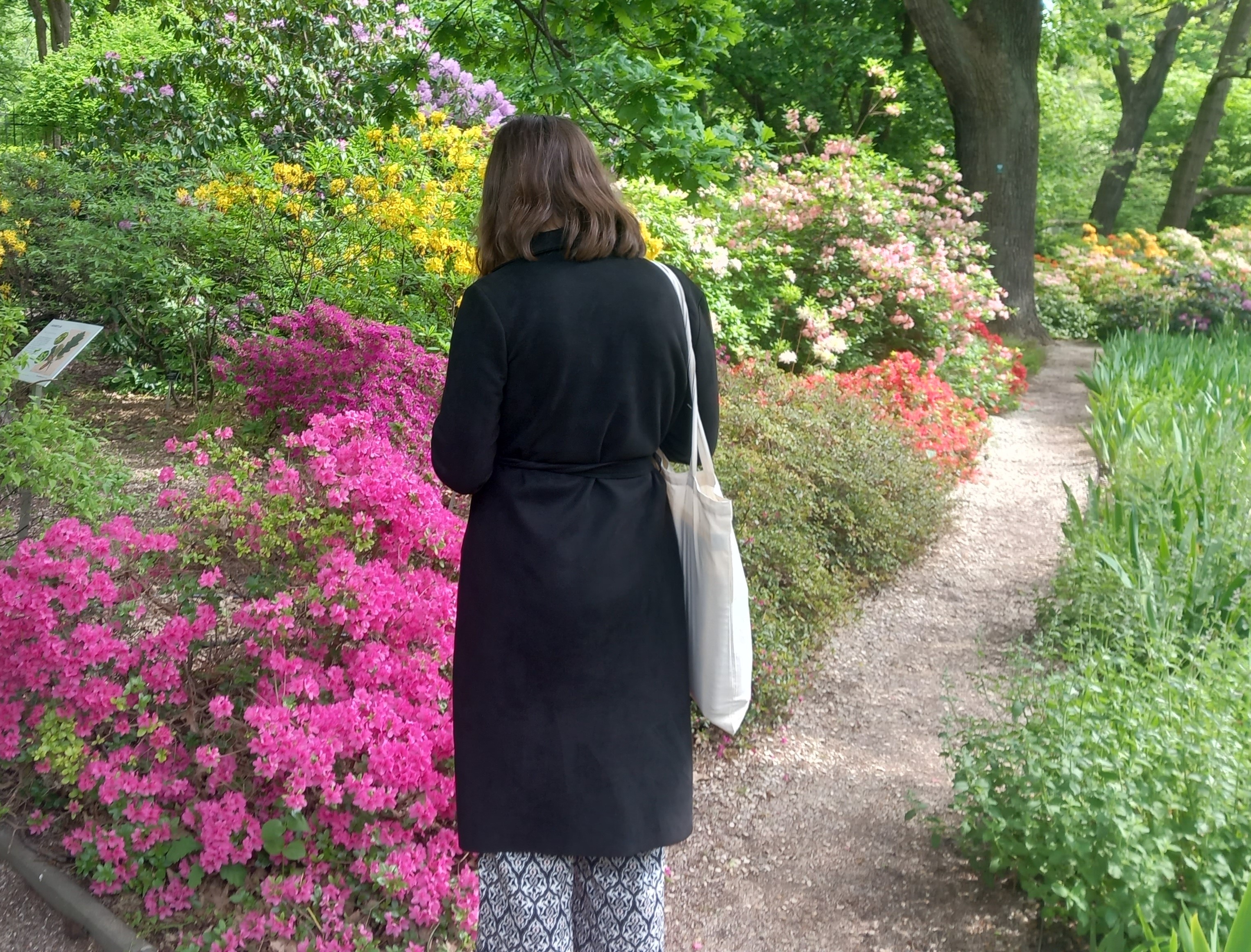 Wiosenne Warsztaty Naukowe 2023