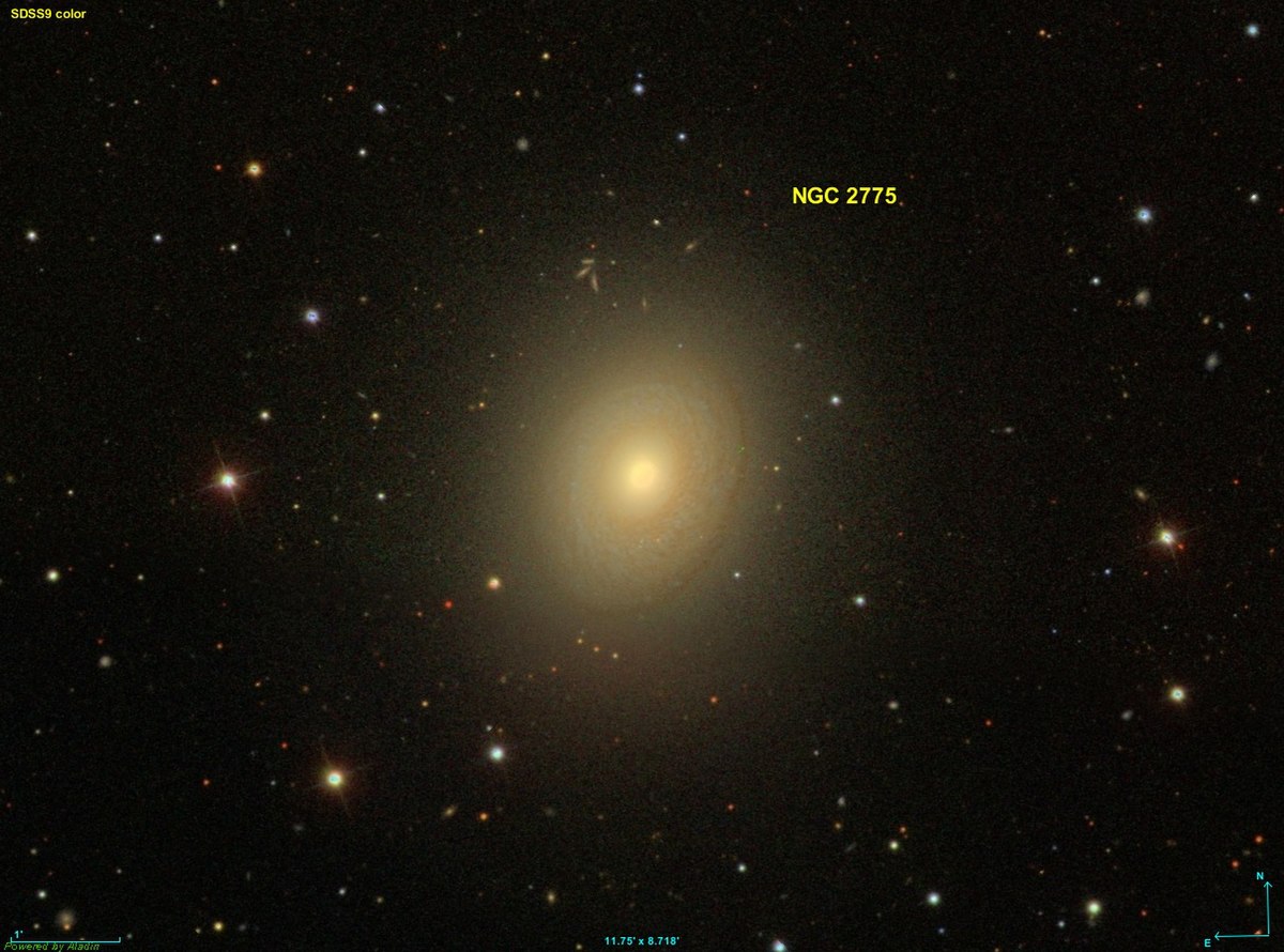 Katalog Caldwella: C48