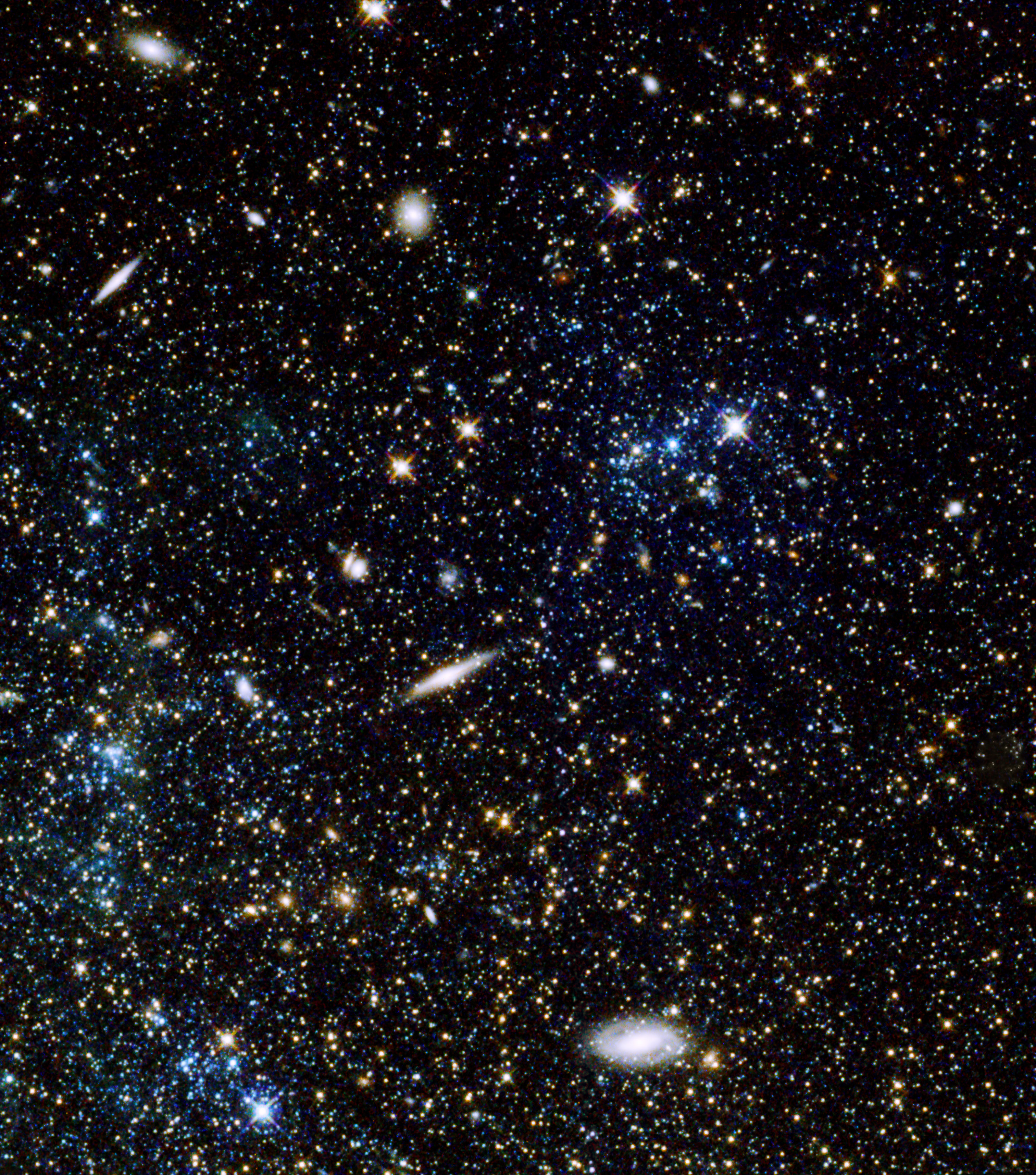 Katalog Caldwella: C51