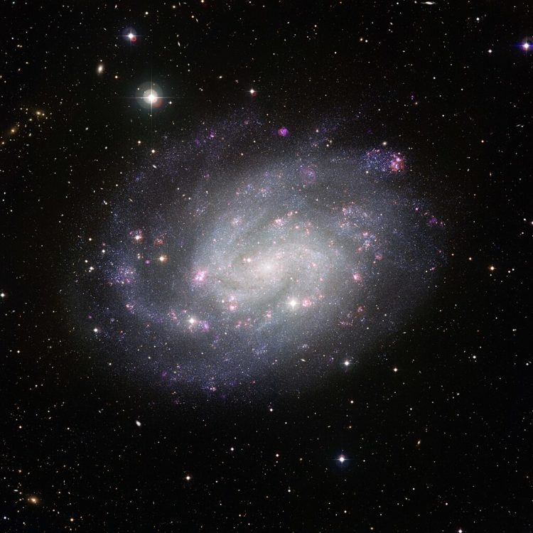 Jasna galaktyka spiralna z ciemniejszymi ramionami na czarnym tle głębokiego nieba.