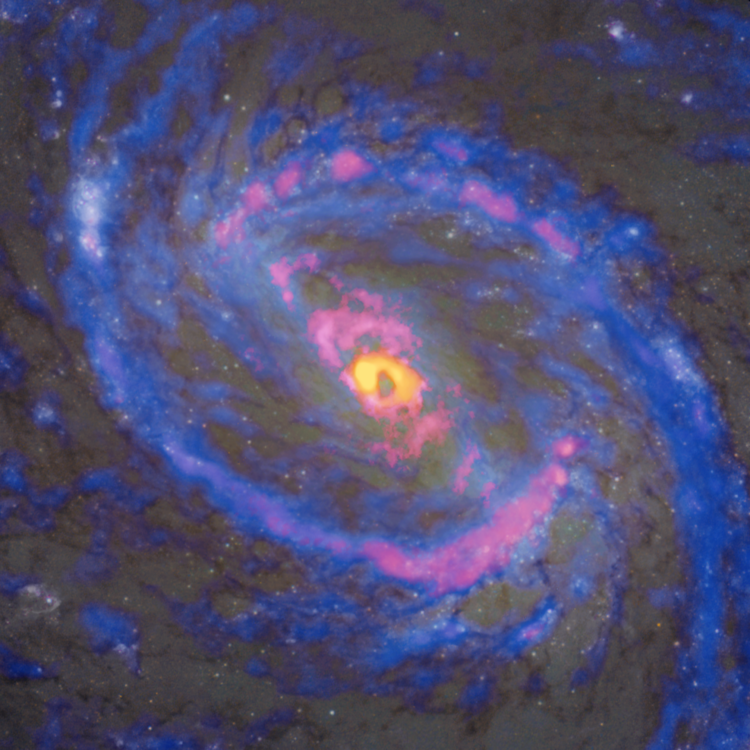 Galaktyka spiralna. Żółte centrum, czerwone i różowe pasma na ramionach, reszta niebieska, w tle pojedyncze gwiazdy