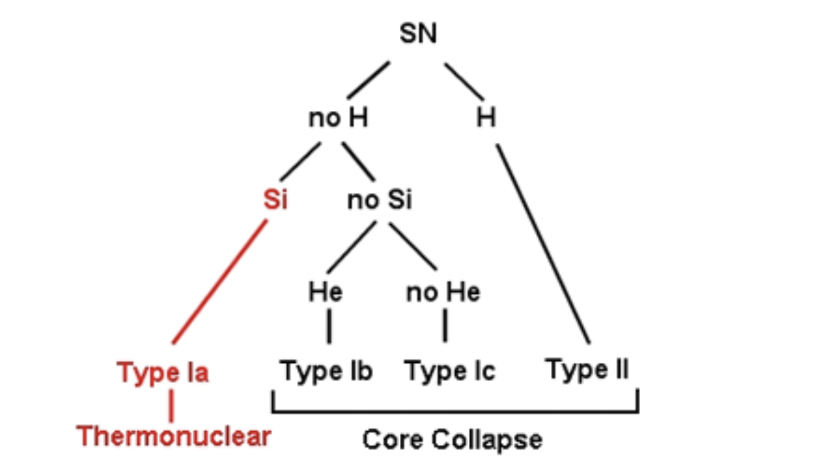 Schemat przedstawiający schemat podziału supernowych typu I oraz II