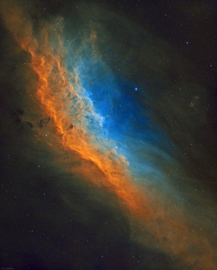 Mgławica NGC1499 (Kalifornia). Na ciemnym tle widać pomarańczowe i niebieskie pasy, podobne do machnięć pędzlem, oświetlane przez pobliską niebieską gwiazdę.