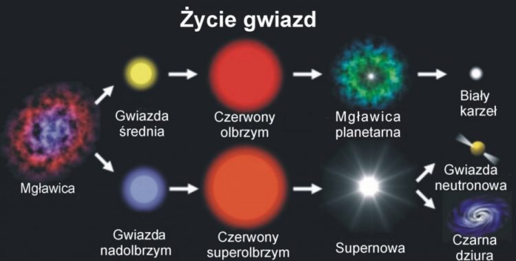 Schemat przedstawiający cykl życia gwiazdy. Idzie od lewej do prawej w skali czasowej. Jako pierwsza jest kolorowa plamka, będąca mgławicą. idą od niej dwie białe strzałki w prawo, jedna bardziej w górę, a druga bardziej w dół. Ta idąca w górę prowadzi do żółtej kuli podpisanej - gwiazda średnia. Od niej idzie poziomo w prawo kolejna biała strzałka wskazująca większą czerwoną kulę podpisaną czerwony olbrzym. Na następna biała strzałka, również pozioma w prawo, wskazuje białą kropkę, wokół której znajduje się zielona rozmazana plama, podpisane jest - mgławica planetarna. Następna biała strzałka prowadzi do małego białego koła podpisanego - biały karzeł. Strzałka idąca w dół od mgławicy wskazuje na niebieskawe koło podpisane - gwiazda nadolbrzym. Pozioma biała strzałka idąca od gwiazdy nadolbrzyma wskazuje dużą czerwoną kulę podpisaną - czerwony superolbrzym. Następna biała strzałka wskazuje bardzo jasną białą kulę z wypustkami, będącymi promieniami świetlnymi, podpisana jest supernowa. Od supernowej idą dwie strzałki jedna bardziej w górę, a druga bardziej w dół. Ta w górę wskazuje żółte koła z dwoma przeciwległymi białymi wypustkami podpisane - gwiazda neutronowa. Strzałka prowadząca w dół wskazuje granatowo - białą konstrukcję spiralną o czarnym środku podpisaną - czarna dziura. Wszystko to znajduje się na czarnym tle.