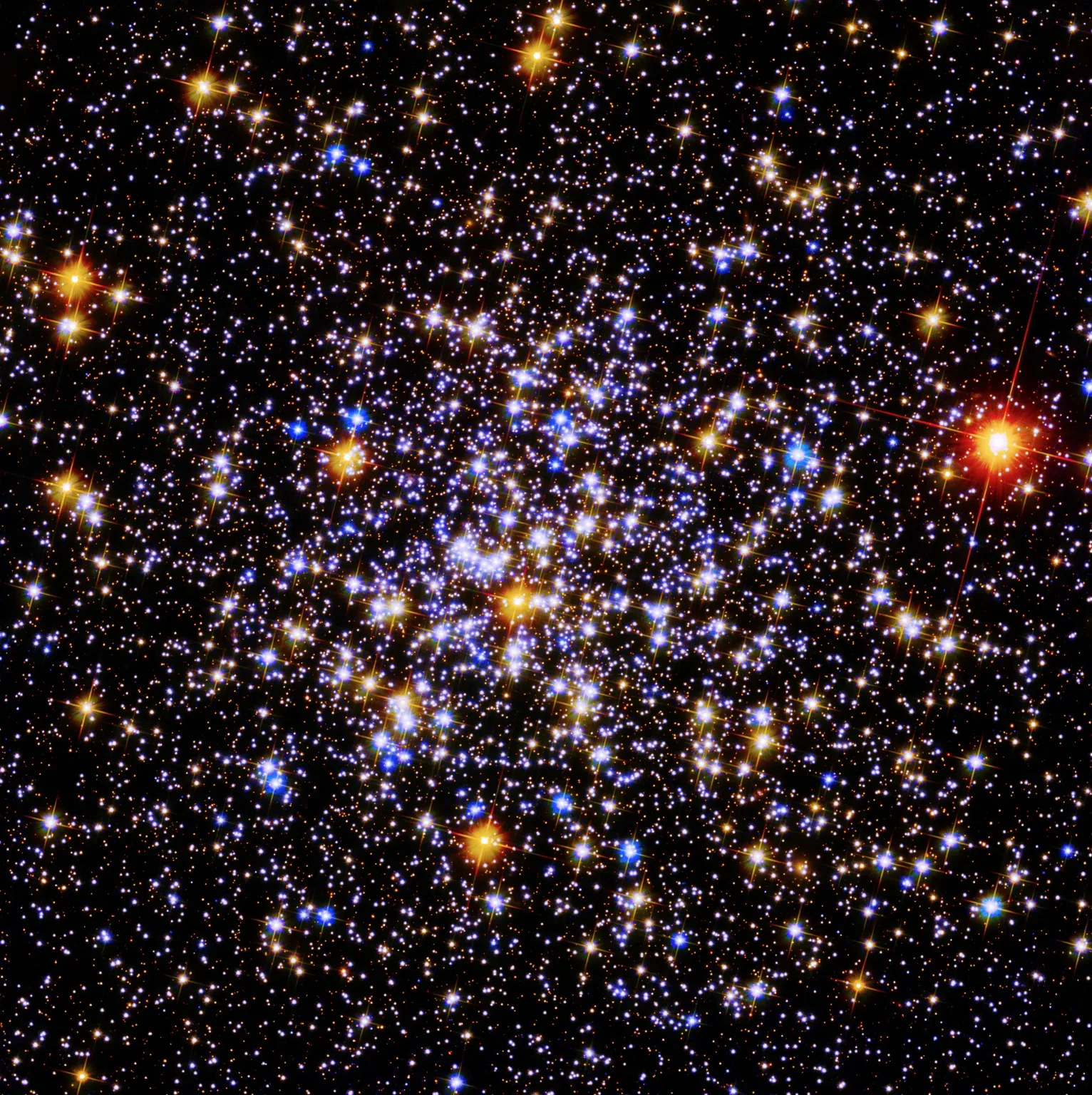 Katalog Caldwella: C81