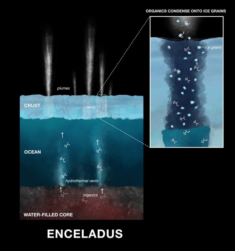 Przekrojowa ilustracja Enceladusa pokazująca wodny ocean pod lodową skorupą. Z dna oceanu unoszą się gorące strumienie z kominów hydrotermalnych, niosące cząsteczki organiczne ku powierzchni. W górnych warstwach zamarzają one na drobinach lodu, które następnie są wyrzucane w przestrzeń w postaci strumieni.