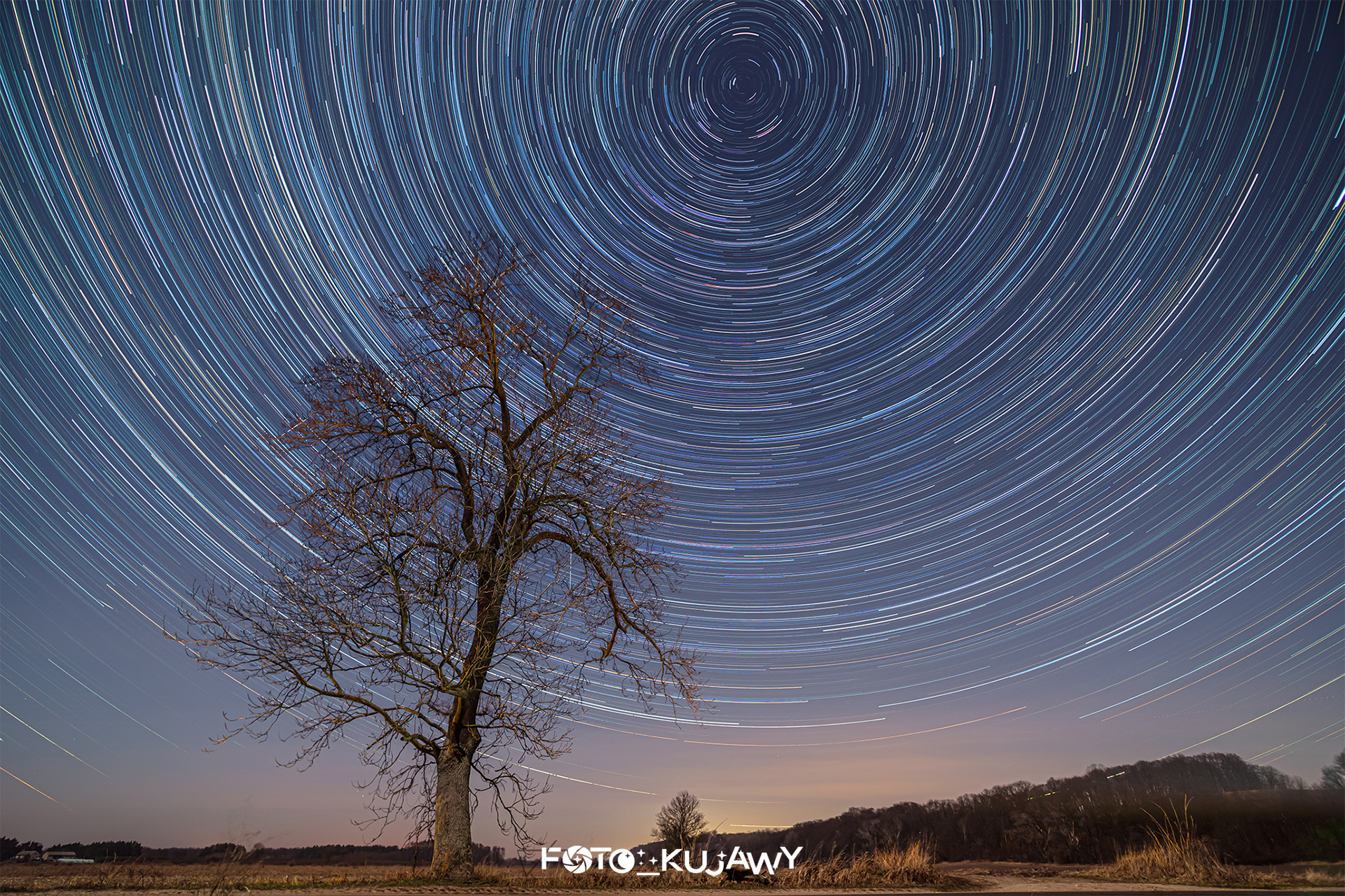 Na dole zdjęcia jasnobrązowe drzewo bez liści, w górnej części gwiazdy ciągnące za sobą smugi i układające się w wir, którego środek znajduje się w środkowo-górnej części nieba.
