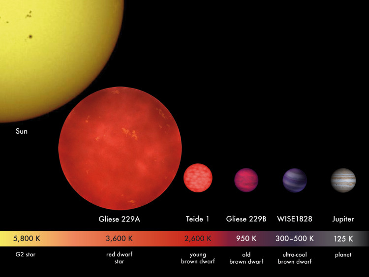 Porównanie rozmiarów i temperatur Słońca, czerwonego karła Gliese 229A, młodego brązowego karła Teide 1, starego brązowego karła Gliese 229B, ultrachłodnego brązowego karła WISE 1828 oraz Jowisza. Temperatury obiektów wynoszą odpowiednio od 5800 K dla Słońca do 125 K dla Jowisza. Rozmiary brązowych karłów są zbliżone do rozmiaru Jowisza, mimo znacznie wyższych temperatur.