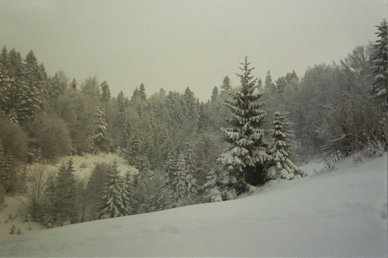 Zima w Gorcach