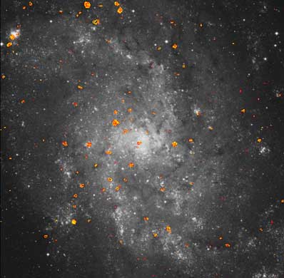 Chmury molekularne w M33