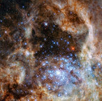 Gromada otwarta gwiazd R136.
