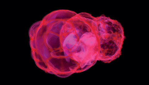Zagęszczenie izotopu żelaza-60 powstałego w wybuchu supernowej 2,2 miliona lat temu.