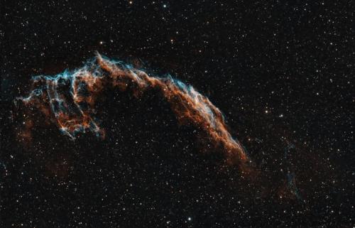 C33