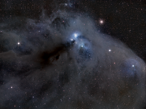 Coronae Australis Molecular Cloud Complex