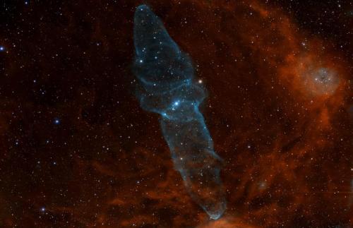 Mgławica Nietoperz i Kałamarnica