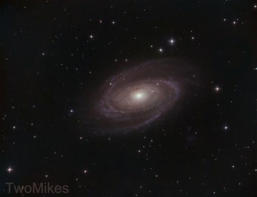 M81
