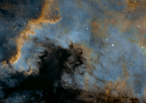 NGC 7000