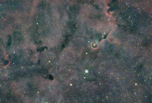 IC1396 - Trąba Słonia